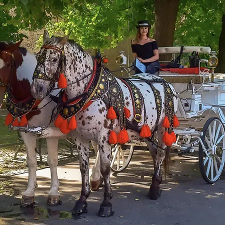 Cracow Vistula Boulevard #1 - Old Town *